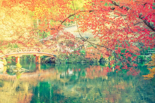 Daigo-ji temple na podzim, Kjóto, Japonsko (filtrováno obrázek proces — Stock fotografie