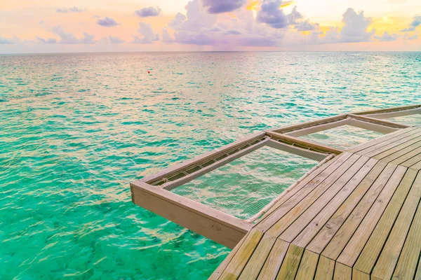 Παραθεριστικές κατοικίες καθαρή θέση στο τροπικό νησί Μαλδίβες και την ομορφιά του το — Φωτογραφία Αρχείου