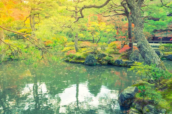 Осенний лес с рекой (отфильтрованное изображение, обработанное винтажным эффектом) — стоковое фото
