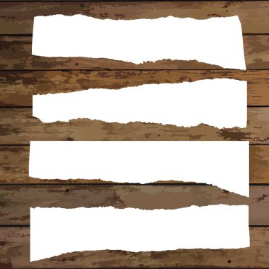 Çeşitli beyaz yırtık Not belgeler kümesi. Vektör çizim