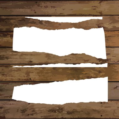 Çeşitli beyaz yırtık Not belgeler kümesi. Vektör çizim