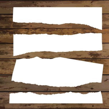 Çeşitli beyaz yırtık Not belgeler kümesi. Vektör çizim