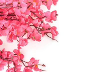 Beyaz arka planda Çin Yeni Yıl Dekorasyonu .