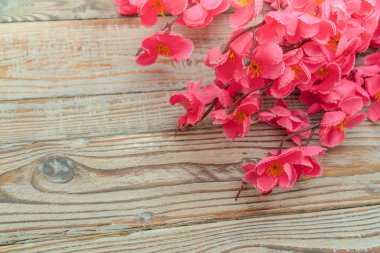 Çin yeni yılı dekorasyon ahşap duvar .