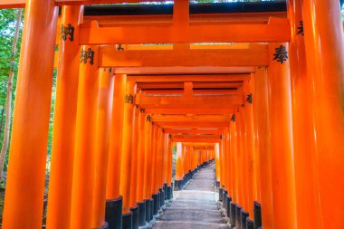 Kırmızı Tori kapıda Fushimi Inari tapınak tapınak Kyoto, Japonya