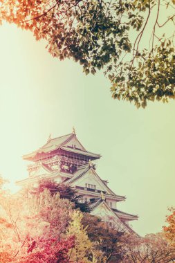 Japonya'nın Osaka Osaka Kalesi (filtre uygulanmış görüntü işlenen vintage e