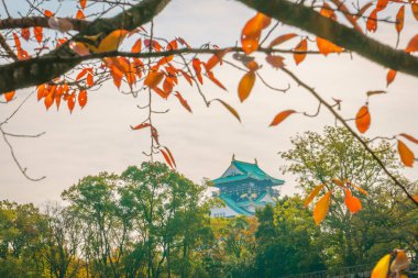 Osaka 'daki Osaka Kalesi