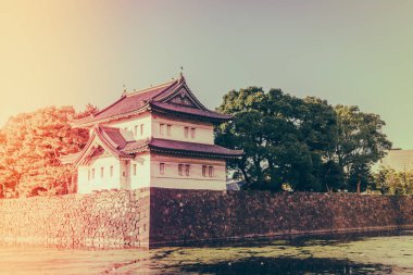 Tokyo, Japonya (Filtered pro görüntü güzel İmparatorluk Sarayı