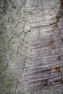 Ahşap doku. Ahşap arka plan. 