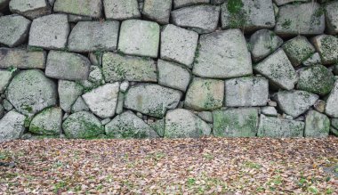 Taş duvar dokusu arkaplanı