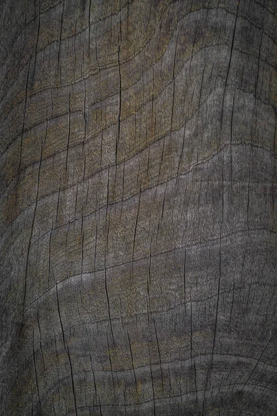 Текстура Дерева Деревянный Фон — стоковое фото