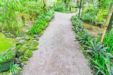 Yeşil orman şekilde  .