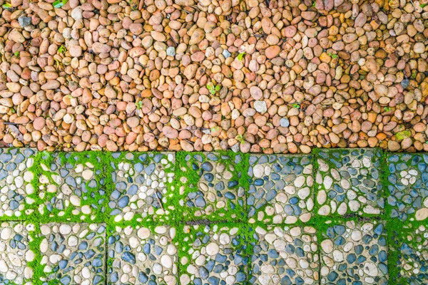 Кам'яна доріжка з зеленим мохом  . — стокове фото