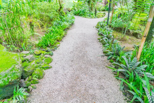 Caminho na floresta verde   . — Fotografia de Stock