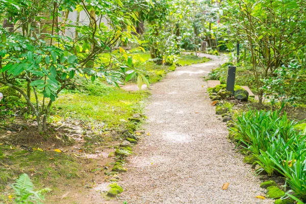 Caminho na floresta verde   . — Fotografia de Stock