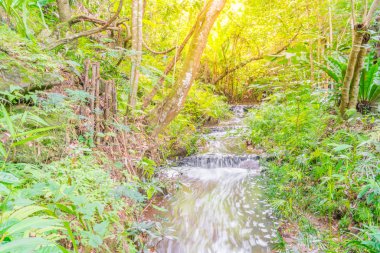 Küçük doğal kaynak şelale (filtre uygulanmış görüntü işleme vintag