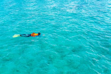 Tropikal Maldivler Adası dalış .