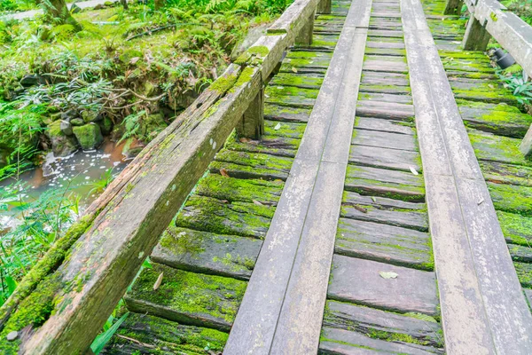 Jembatan kayu di hutan hijau tropis ditutupi dengan lumut  . — Stok Foto