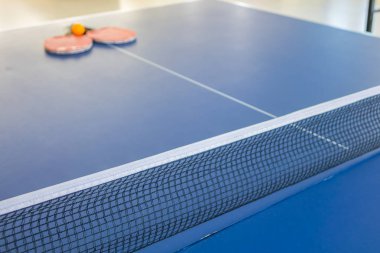 Masa Tenisi veya ping pong .