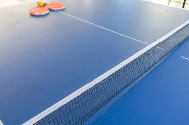 Masa Tenisi veya ping pong .