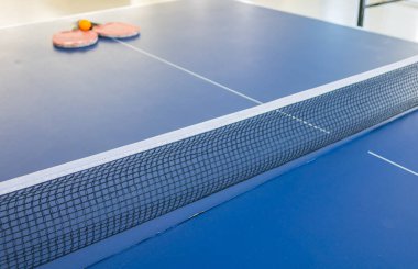 Masa Tenisi veya ping pong .