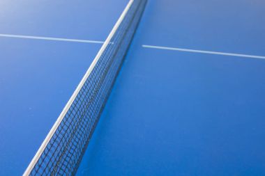 Masa Tenisi veya ping pong .