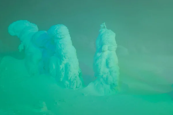 Light up of Snow monsters at Zao Mountain , Japan. . — Stock Photo, Image