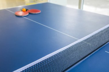 Masa Tenisi veya ping pong