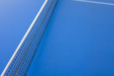 Masa Tenisi veya ping pong