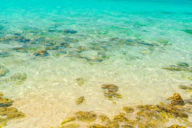 Maldivler Adası 'ndaki mercan resifleriyle deniz manzarası