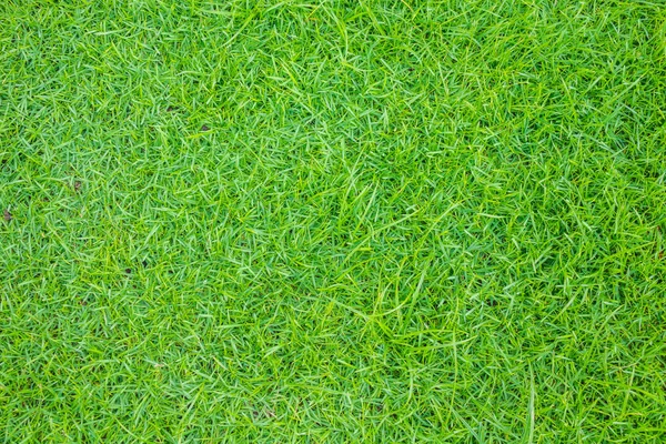 Close Obraz Świeżej Wiosennej Zielonej Trawy — Zdjęcie stockowe