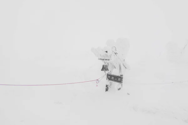 Área Monstros Neve Montanha Zao Japão — Fotografia de Stock