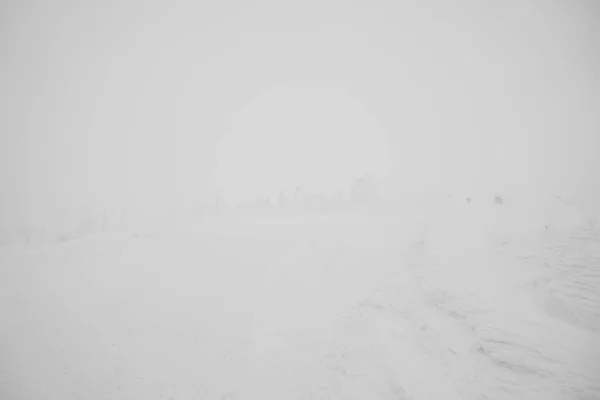 Snow Monsters area Mountain Zao, Japan