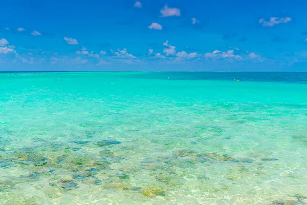 Hermosa Isla Tropical Maldivas Con Playa Arena Blanca Mar — Foto de Stock