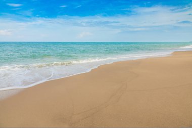 plaj ve tropikal deniz