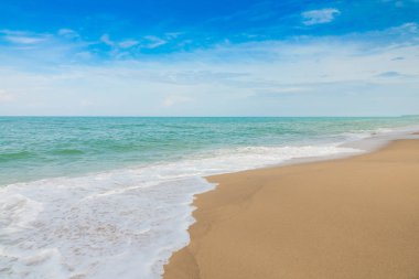 plaj ve tropikal deniz