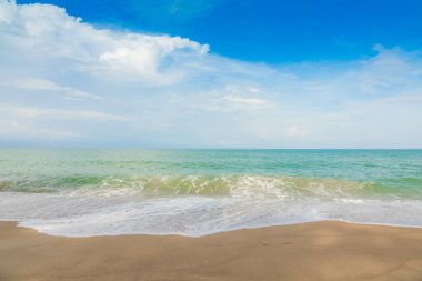 plaj ve tropikal deniz