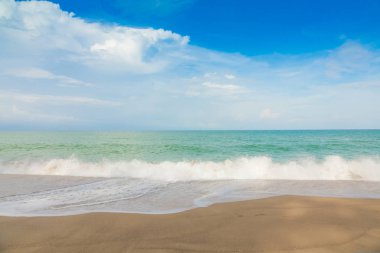 plaj ve tropikal deniz