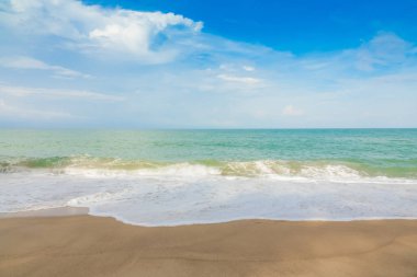 plaj ve tropikal deniz