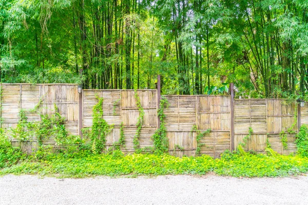 Bambusz Kerítés Zöld Levelekkel — Stock Fotó