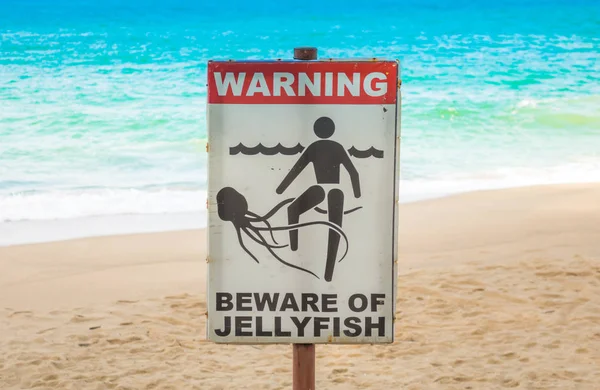 Jellyfish Warning Sign Beach — Stock Photo, Image