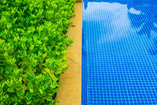 Otel Havuzu Resort Güzel Yüzme Havuzunda — Stok fotoğraf
