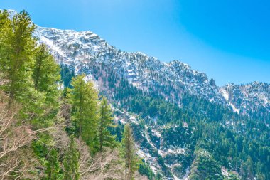 Güzel nehir ve kar kaplı dağlar manzara Kashmir devlet, Hindistan