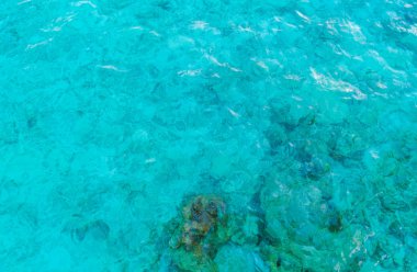 Maldivler Adası 'ndaki mercan resifleriyle deniz manzarası