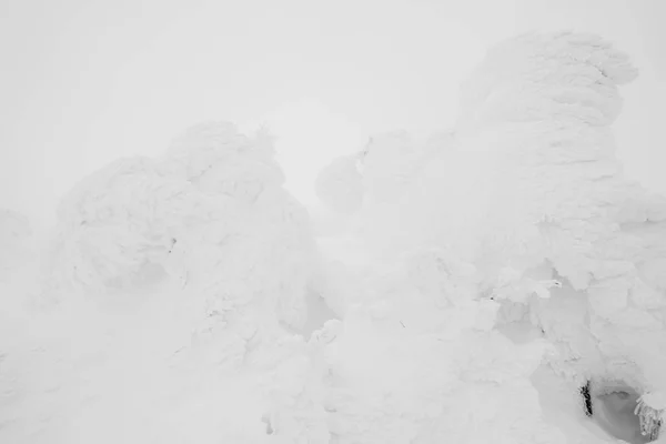 Área Monstros Neve Montanha Zao Japão — Fotografia de Stock