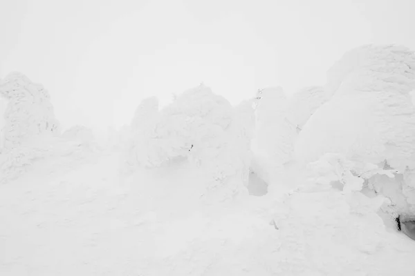 Área Monstros Neve Montanha Zao Japão — Fotografia de Stock