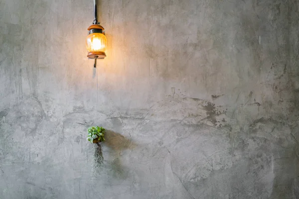 Decorazione Illuminazione Vintage Con Pianta Sopra Muro Cemento — Foto Stock