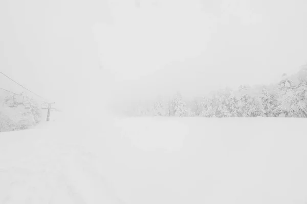 Arbre Couvert Neige Jour Tempête Hivernale Dans Les Montagnes Forestières — Photo