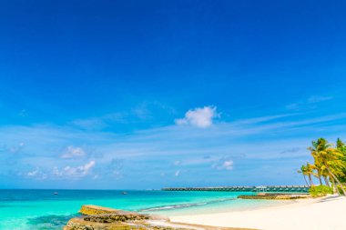 Güzel tropikal Maldivler ada beyaz kumlu plaj ve deniz