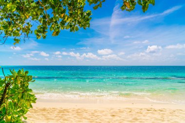 Güzel tropikal Maldivler ada beyaz kumlu plaj ve deniz